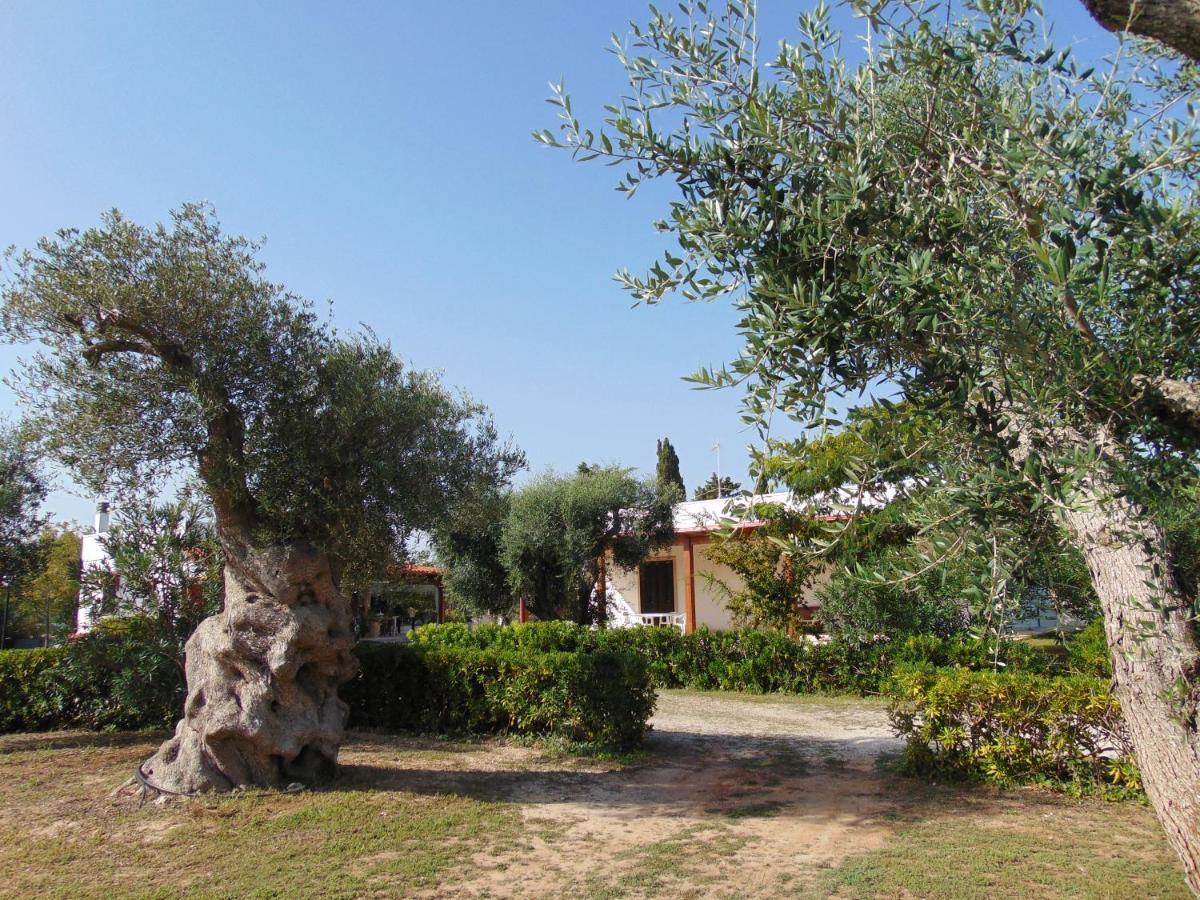 Agriturismo Villa Tommaso Torre dell'Orso Eksteriør billede